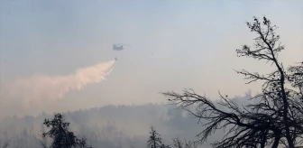 Atina'nın yakınındaki orman yangınları kontrol altına alındı