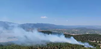 Balıkesir'in Sındırgı ilçesinde orman yangını çıktı