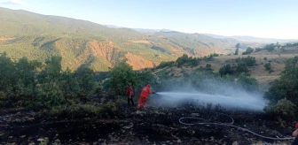 Bingöl'de çıkan orman yangını ekipler tarafından söndürüldü