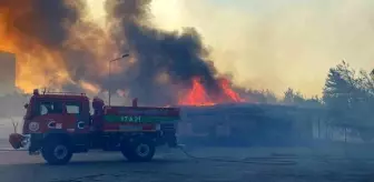 Çanakkale'de çıkan yangın çimento fabrikasına sıçradı