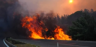 İzmir'de 3 ilçede orman yangını! 1 mahalle tahliye edildi, kara yolu trafiğe kapatıldı
