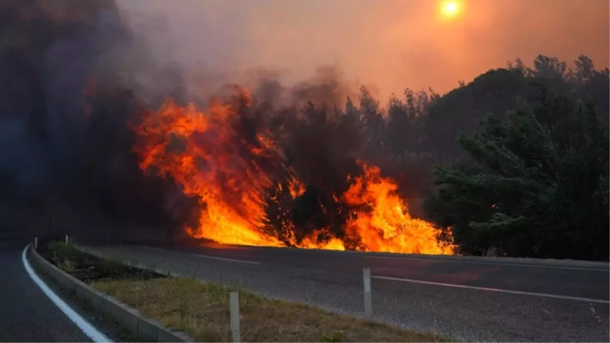 İzmir'de 3 ilçede orman yangını! 1 mahalle tahliye edildi, kara yolu trafiğe kapatıldı