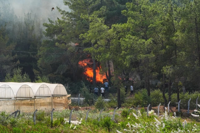 إزمير منديريس ، حريق في الغابة: متابعة المكافحة من الجو والبر