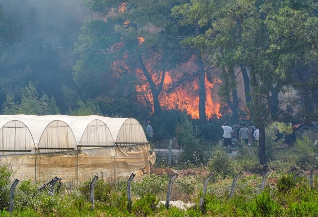 Forest Fire in Izmir Menderes: Aerial and Land Intervention Continues
