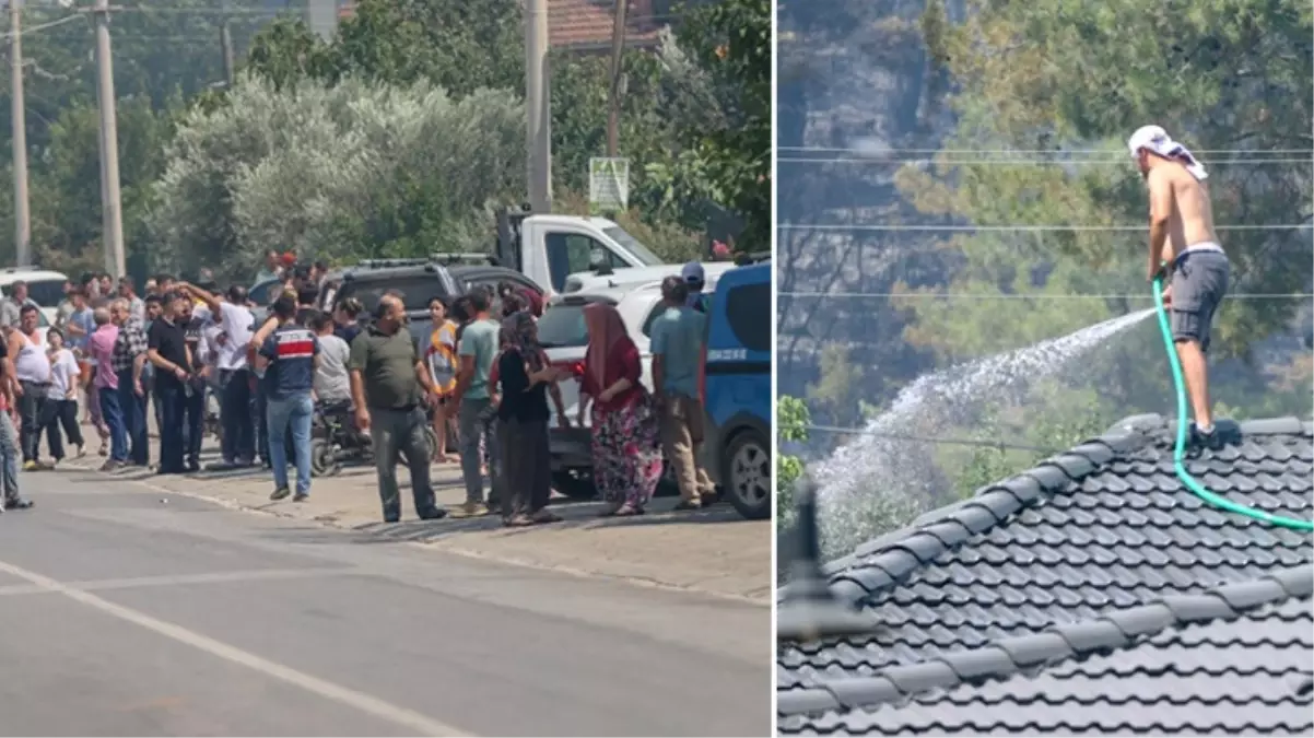 İzmir'de ormanlık alanda çıkan yangın büyüdü! Bazı evler tahliye edildi