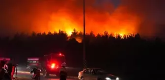 İzmir'in 5 ilçesinde orman yangını! Bakan Yumaklı bölgede