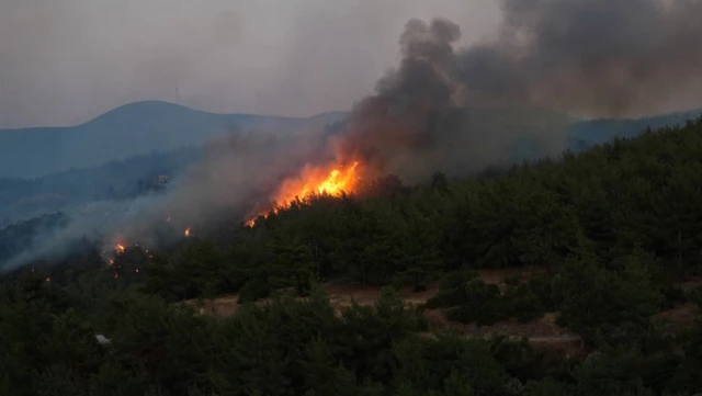 Forest fire in 5 districts of Izmir! Minister Yumaklı in the region.