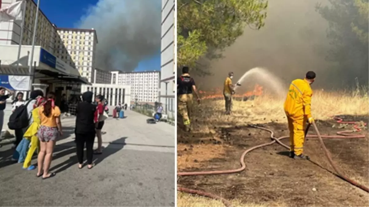 Bursa'daki anız yangını Uludağ Üniversitesi'ndeki ormanlık alana sıçradı