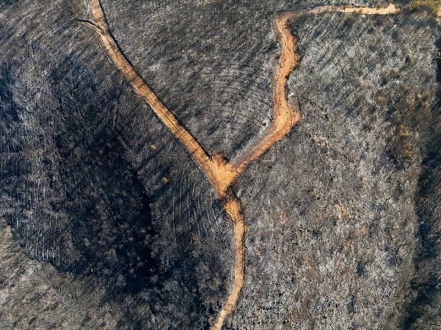 تم تصوير منطقة الغابات التي تضررت في إزمير من الجو