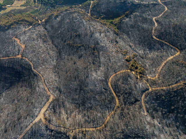 تم تصوير منطقة الغابات التي تضررت في إزمير من الجو