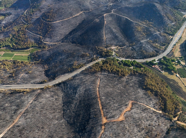 Our lungs are burning! Forest area damaged in Izmir seen from the air