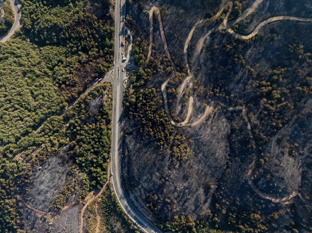 Our lungs are burning! Forest area damaged in Izmir seen from the air