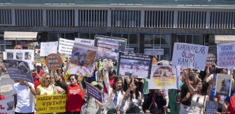 Ankara'da Hayvanseverler Sahipsiz Hayvanlara Yapılacak Düzenlemeyi Protesto Etti