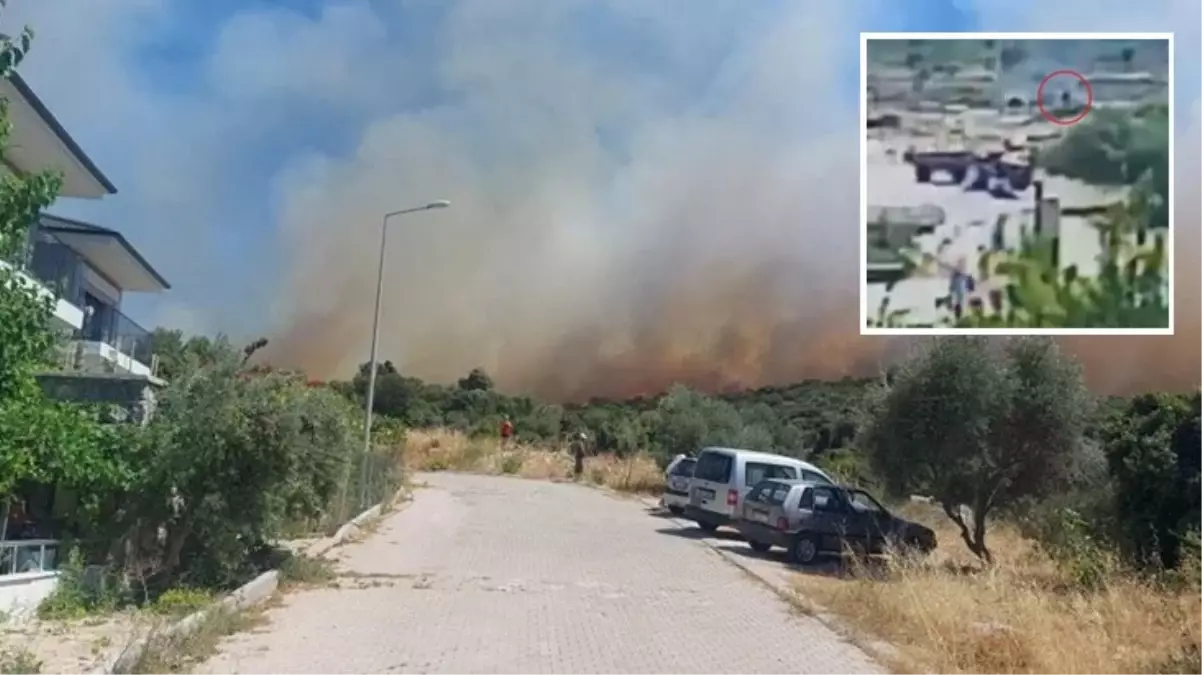 Çeşme'de attığı izmaritle orman yangınına neden olan kişi tutuklandı