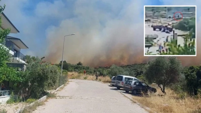 The person who caused the forest fire with the cigarette butt in Çeşme has been arrested.