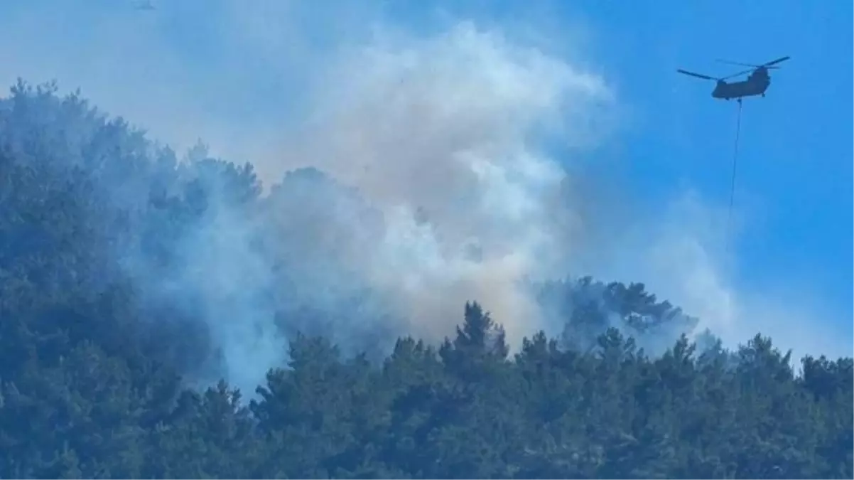 Selçuk, Menderes ve Çeşme'de çıkan yangınlar kontrol altına alındı