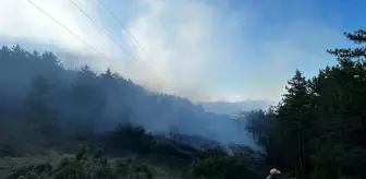 Kastamonu'da Yüksek Gerilim Hattından Kaynaklanan Yangın Kontrol Altına Alındı