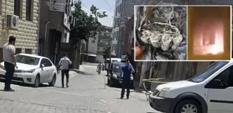 Mahalle ortasında el yapımı bomba patlattılar