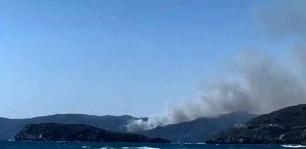 Marmaris'te Orman Yangını Çıktı