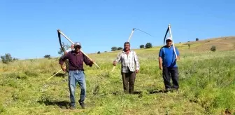 Yozgat'ta Tırpan İşçilerinin Yeşil Mercimek Hasadı Mesaisi Başladı