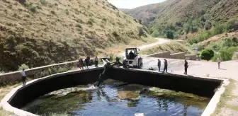 Bitlis Belediyesi Altunkalbur Mesire Alanı'nda Temizlik Çalışmalarını Sürdürüyor