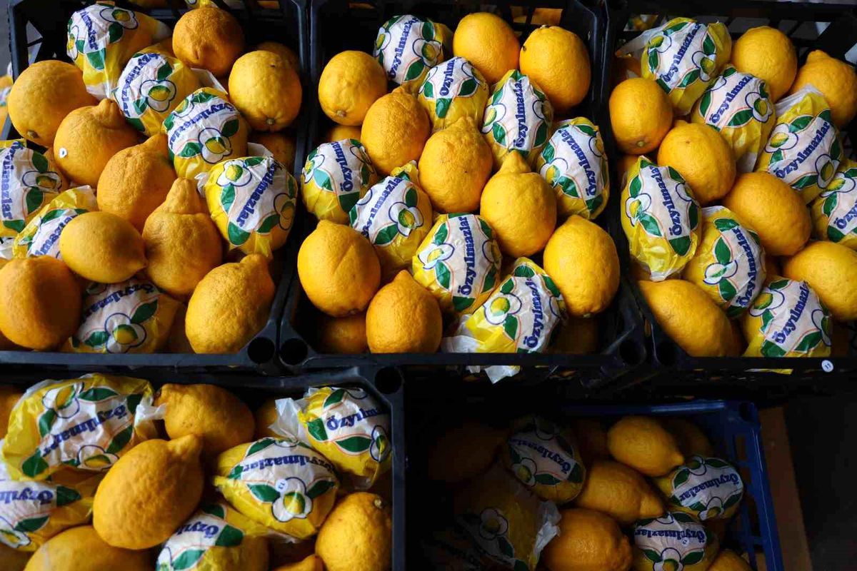 Adana'da Limon Fiyatları Çürüme Nedeniyle Yükseldi