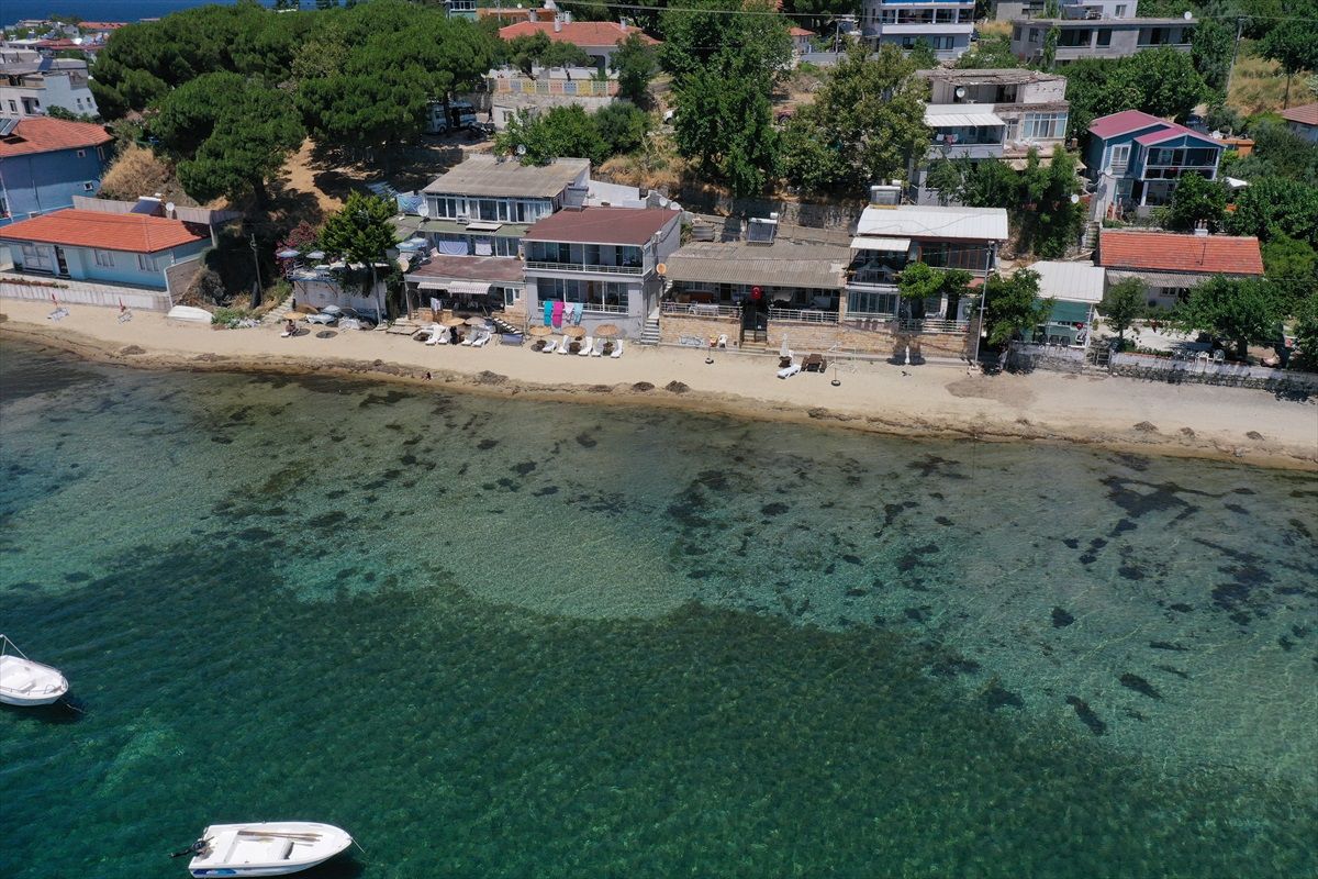 Erdek'te Plaj Temizliği Yapan Ev Sahipleri Deniz Çayırlarını Söktüğü İddiasıyla Soruşturma Başlatıldı