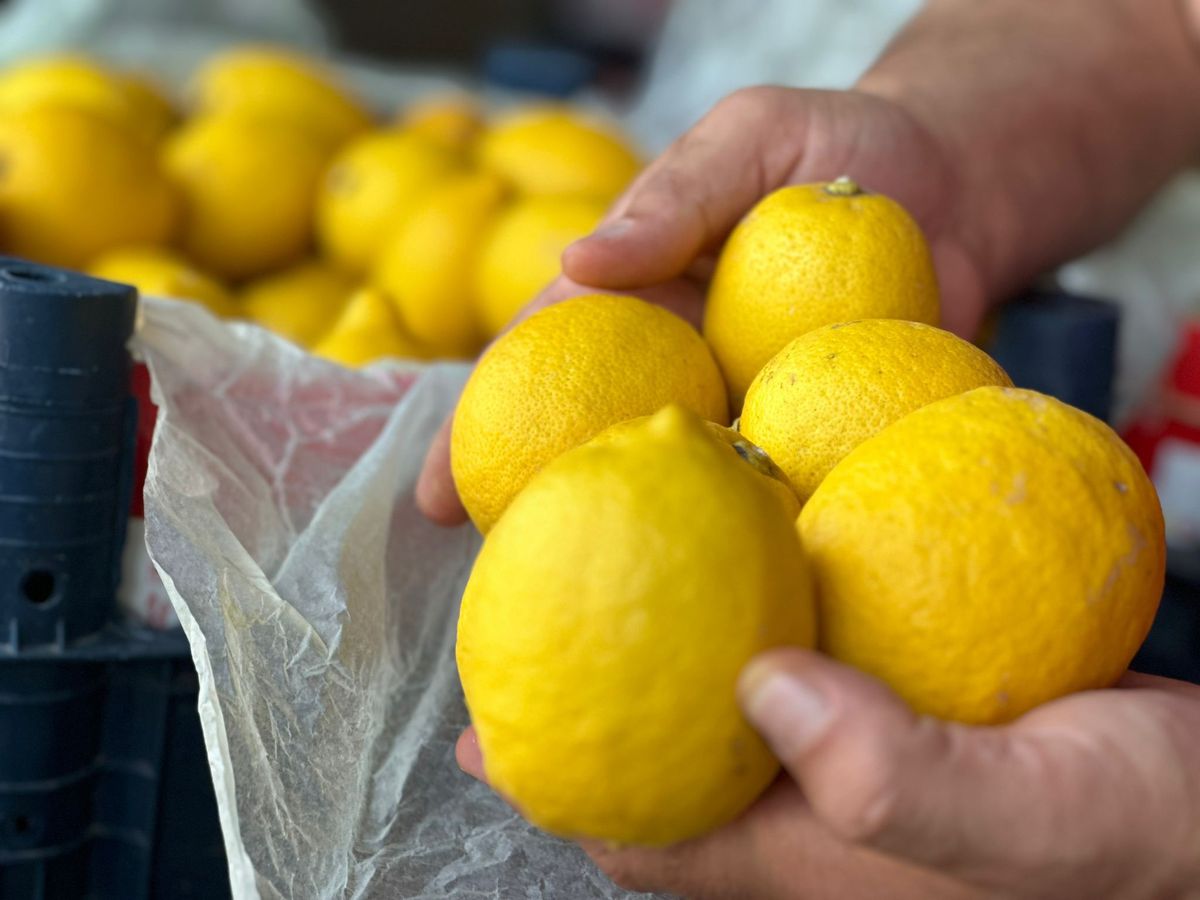 Adana'da Domates Fiyatları Düştü, Limon Fiyatları Yükseldi