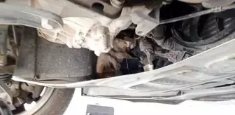 Samsun'da motor kısmına sıkışan kedi kurtarıldı