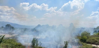 Sakarya'nın Hendek ilçesinde çalılık alanda çıkan yangın söndürüldü