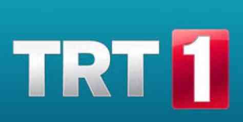 TRT yayın sorunu nasıl çözülür 2024?