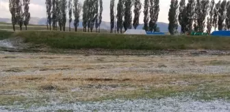 Ağrı'da etkili olan dolu tarım arazilerine zarar verdi