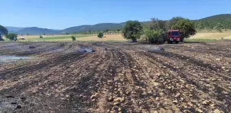 Bilecik'te çıkan yangının sebebiyle ilgili kişi yakalandı