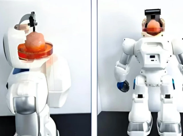 Chinese scientists have developed a robot capable of performing critical tasks using an artificial brain derived from human stem cells.
