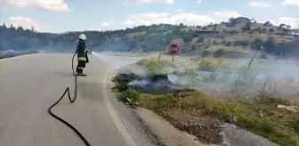 Çorum'un Osmancık ilçesinde kuru otların tutuşması sonucu çıkan yangın söndürüldü