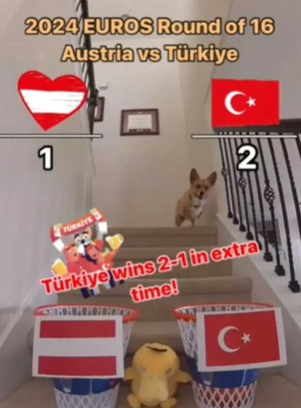 Devler Ligi'nin kazananını bilmişti! Fenomen köpek, Türkiye-Avusturya maçını da tahmin etti