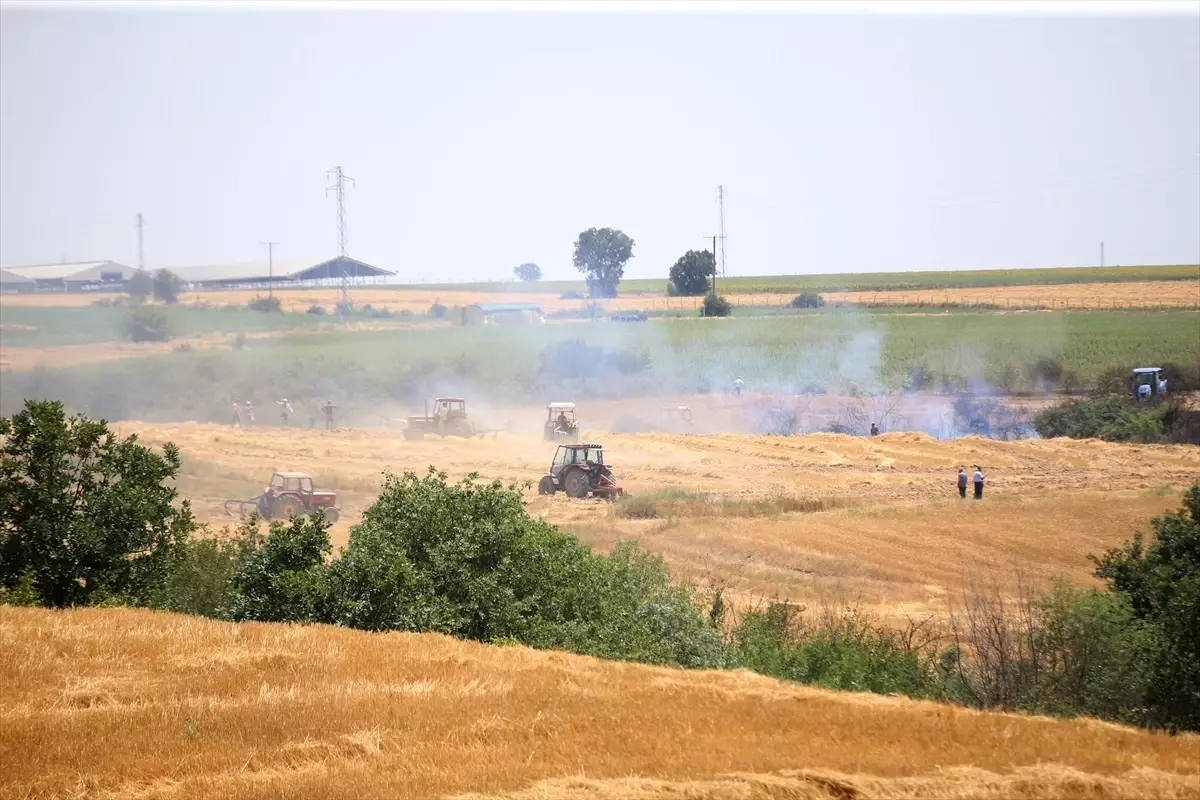 Kırklareli'nde çıkan anız yangınlarında 150 dönüm tarım arazisi zarar gördü