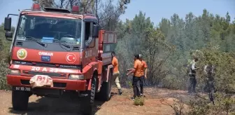 Uşak'ta Orman Yangını Kontrol Altına Alındı