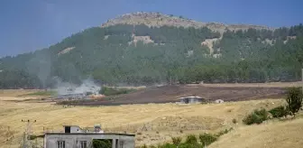 Adıyaman'da Rüzgarın Etkisiyle Büyüyen Anız Yangını Evlere Sıçramadan Söndürüldü