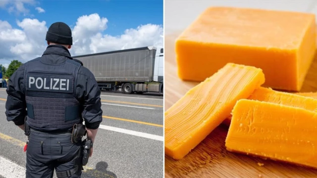 The police officer who stole cheese in Germany has been dismissed from his profession.
