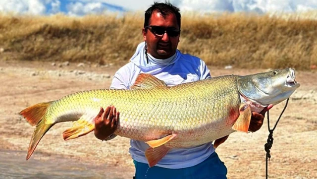 An amateur fisherman caught a gigantic fish in the reservoir lake.