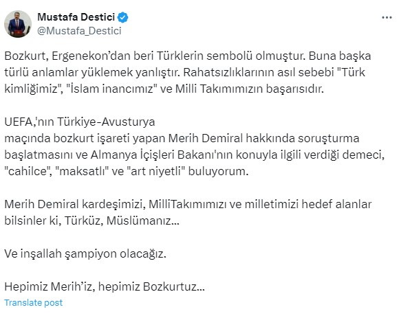 رئيس حزب الحركة القومية مصطفى ديستيجي: نحن جميعًا مريحون ، نحن جميعًا ذئاب