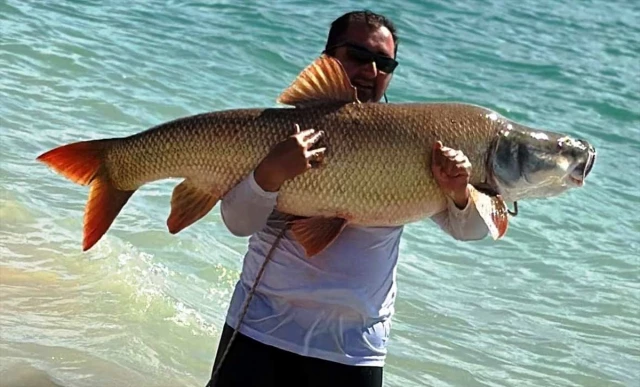 Amateur fisherman catches giant fish in the dam lake