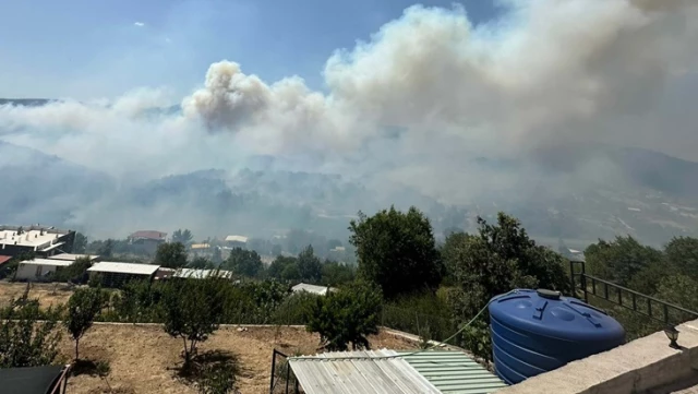 حريق الغابات في إزمير وباليكسير! تم إخلاء حيين وتم إغلاق طريق منيسا السريع.