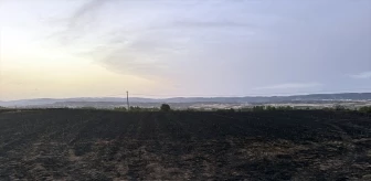 Kastamonu'da çıkan yangında 25 dekarlık arpa ekili alan tamamen yandı