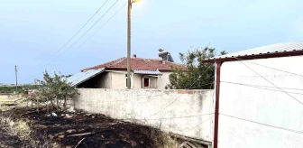 Kastamonu'da Besi Çiftliğinde Yangın: Arpa Ekili Tarım Arazisi Zarar Gördü
