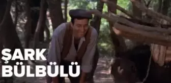 Şark Bülbülü filmi oyuncuları kim, konusu ne, sonu nasıl bitiyor? Şark Bülbülü filmi ne zaman, nerede çekildi?