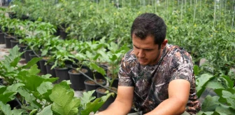 Bursa'da Ziraat Mühendisi Topraksız Tarım Yöntemiyle Verimli Ürün Elde Ediyor