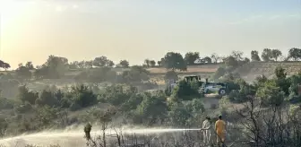 Uşak'ta çıkan yangın kontrol altına alındı