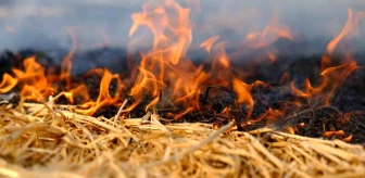 Mardin'de Buğday Yangınlarına Yağışların Etkisi